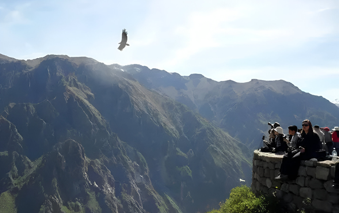 Arequipa & Colca Canyon